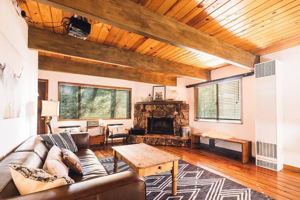 Amazing Cabin - Close To Ski Resort And Village Big Bear Lake Dış mekan fotoğraf